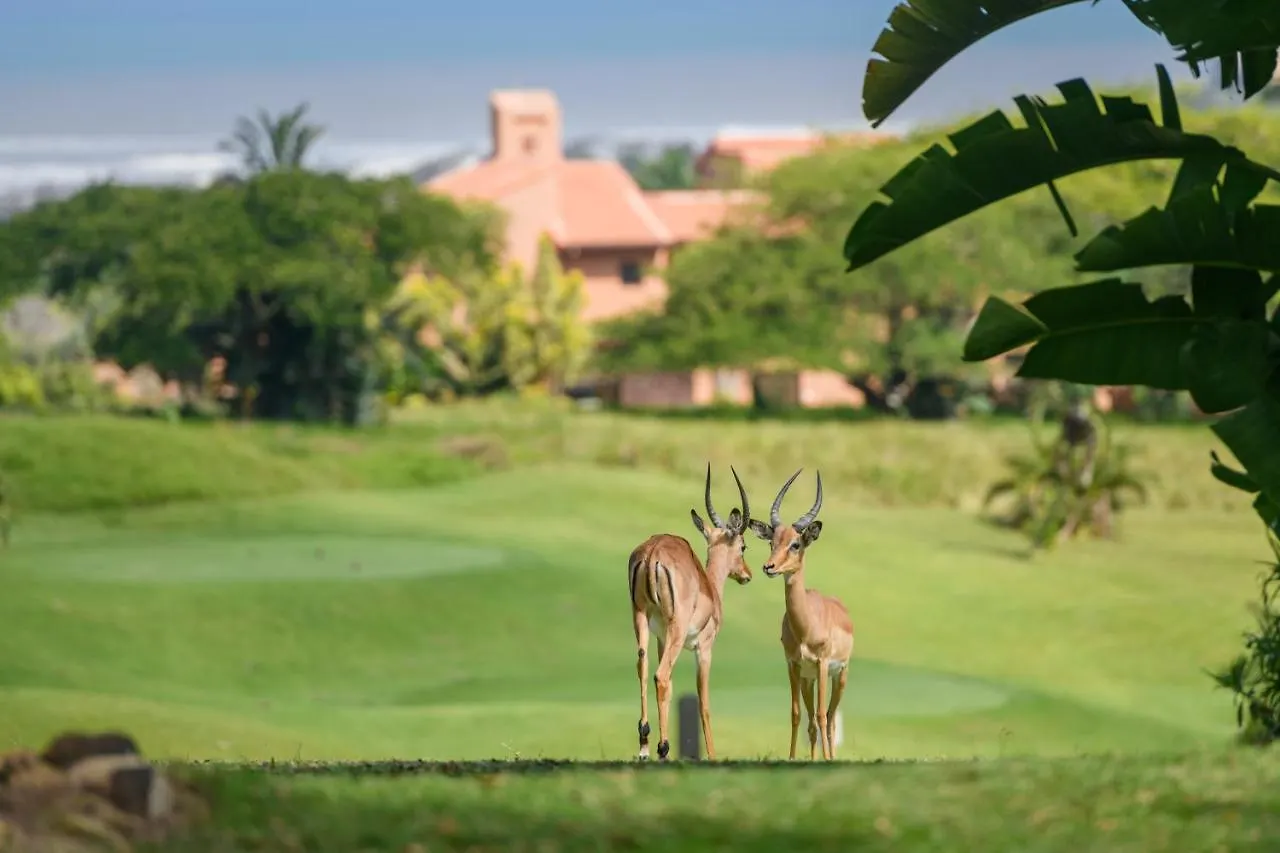 San Lameer Villa 14205 - 4 Bedroom Luxury - 8 Pax -San Lameer Rental Agency Southbroom